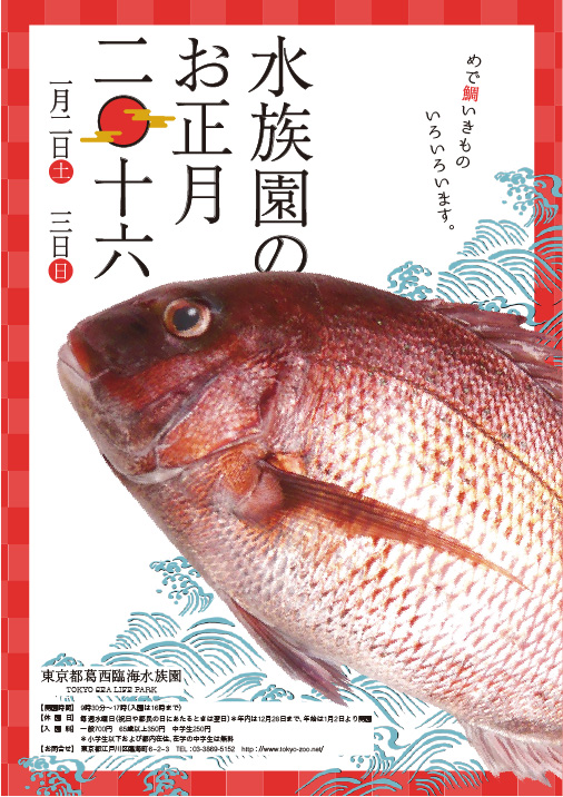画像：卒業生制作物：ポスター：水族館